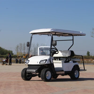 Cargador de batería 36V 48V 60V 72V 20A 25A 30A resistente al agua Club Car y Golf Cart con asientos al aire libre