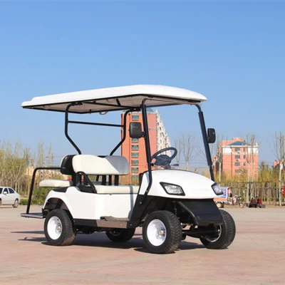 Cargador de batería 36V 48V 60V 72V 20A 25A 30A resistente al agua Club Car y Golf Cart con asientos al aire libre