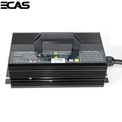 36-45V 10 un cargador de batería de litio para el Banco Industrial/Palet/carretilla/camión/transportista