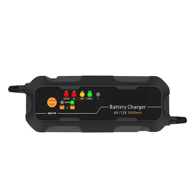  12V Portable Power Lithium Car Home Panel Solar plomo ácido Y con a buen precio 220V Camping RV 24 Volt Cargador de batería sellado