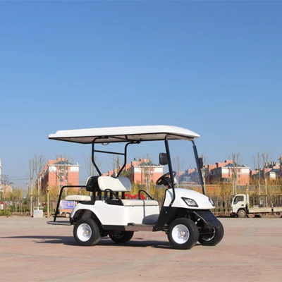 Cargador de batería 36V 48V 60V 72V 20A 25A 30A resistente al agua Club Car y Golf Cart con asientos al aire libre
