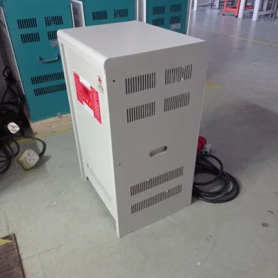  Cargador de batería comercial estándar para el hogar Cargador de carretilla para carretilla elevadora