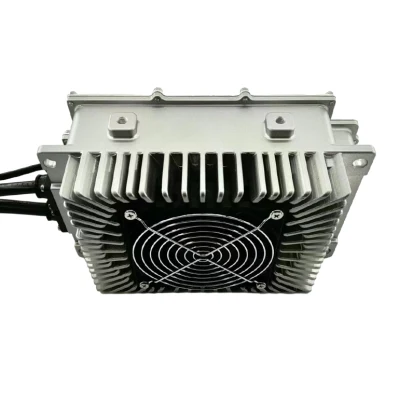  3,3kw Cargador de baterías de scooter eléctrico Comercial de motocicleta de Tricycle con Bus CAN