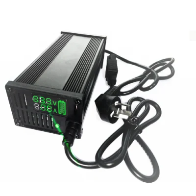  Precio de fábrica 60V 12ah 2A plástico LiFePO4 Cargador de batería para Moto de scooter eléctrica E Motor de bicicleta