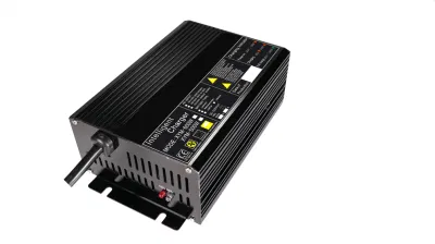 36-45V 10 un cargador de batería de litio para el Banco Industrial/Palet/carretilla/camión/transportista