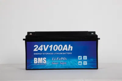Batería recargable de litio LiFePO4 batería 12V 24V 48V Li Ion litio/Lpf litio