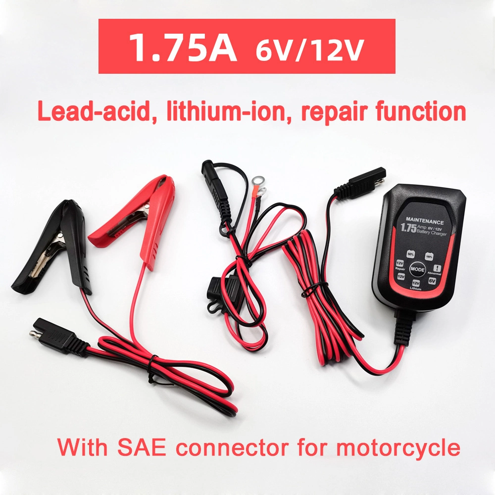 Edsun 12V Normal Mode Smart Automatic Car Battery Charger for Motorcycles