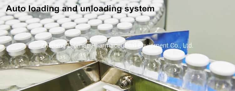 Auto Loader with CE/GMP Standard for Pharmaceutical Industry Row by Row