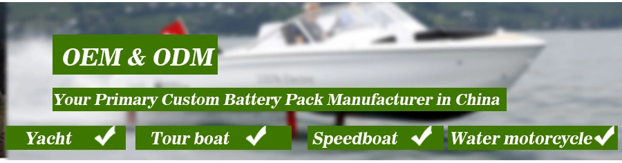 Cts 530V 230ah 120kwh Lithium Battery with DC Fast Charge for Electric Boat Marine