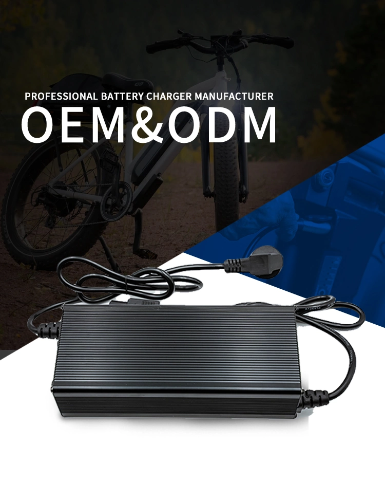 Factory Price 72V 10A Lithium Li-ion LiFePO4 Battery Chargers for E-Bike Tricycle Two-Wheel Forklift RV