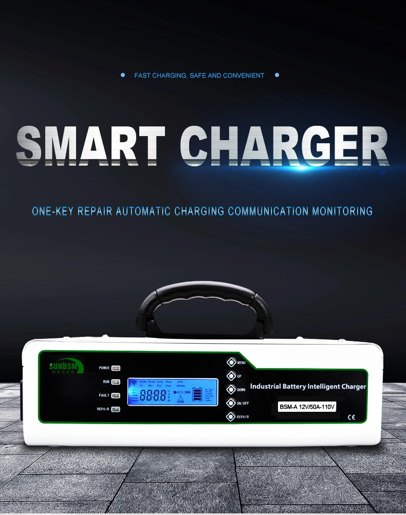 Hot Selling 48 Volt Smart Power Battery Charger