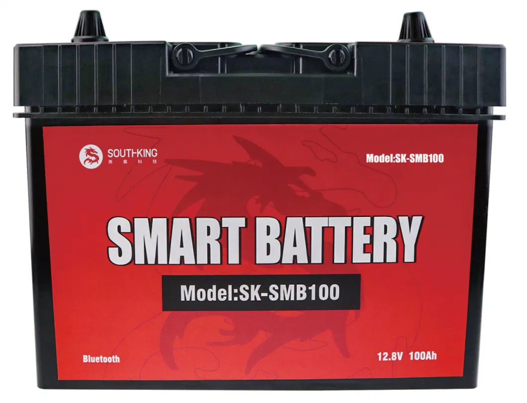 OEM Rechargeable Long Life Cycle Auto Car Battery 12V 100ah LiFePO4 Smart Battery Charger