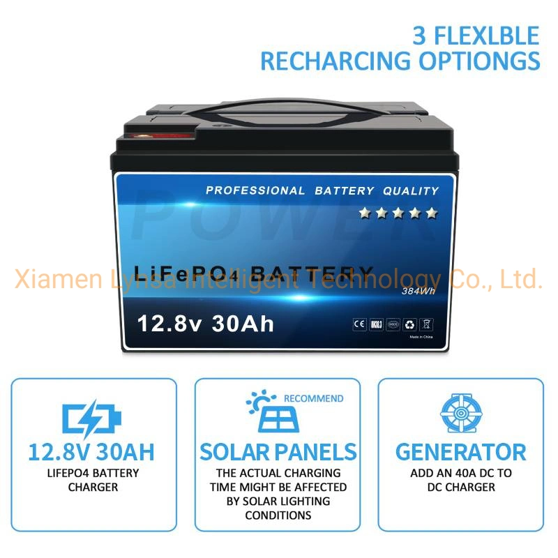 12V 30ah 12.8V Lead to Lithium Ion LFP LiFePO4 Battery Hot Seller for CCTV Camera