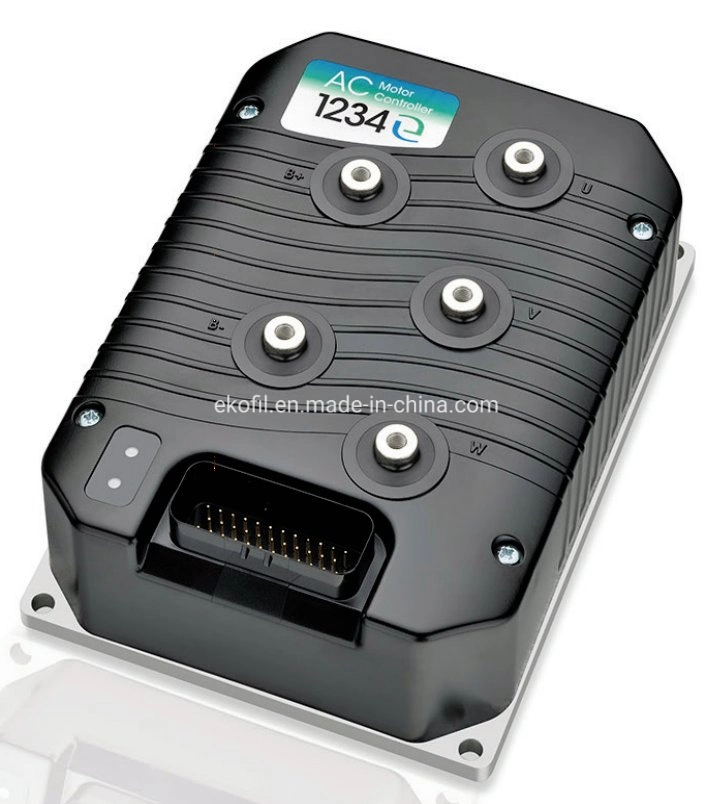 High Quality Weatherproof High Speed Au Rema Plug in Power Adapter 12V 24V 36V 48 Volt Battery Charger