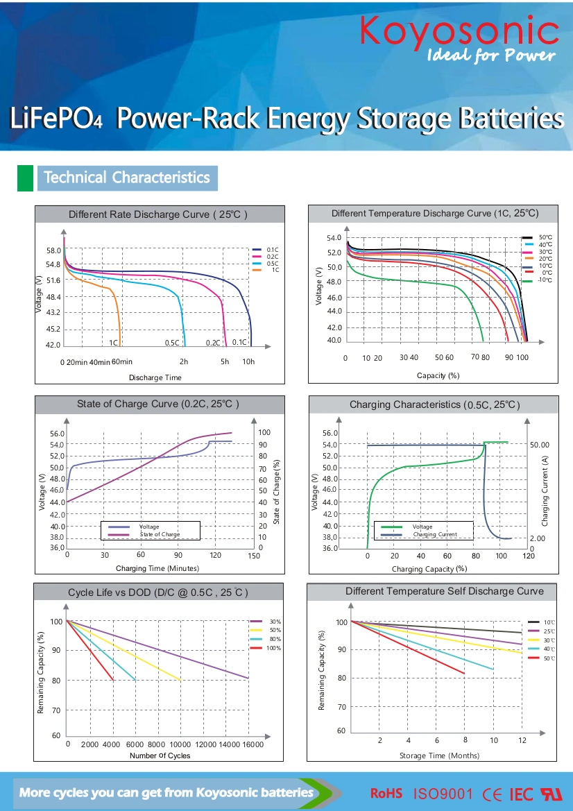 OEM 48V100ah 200ah Lithium Battery Reliable LiFePO4 Battery 2.5kwh 5kwh 10kwh 15kwh Mounted Packs Solar Lithium Ion Battery Rack for Solar Energy Storage