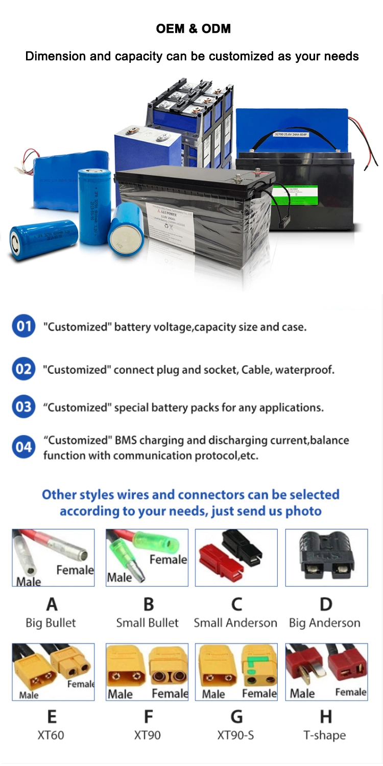 LFP 12V/24V/48V 100ah~300ah LiFePO4 Battery Lithium Ion Phosphate Battery for Solar Energy Storage/Marine/RV/Boat with Un38.3/UL Certificate