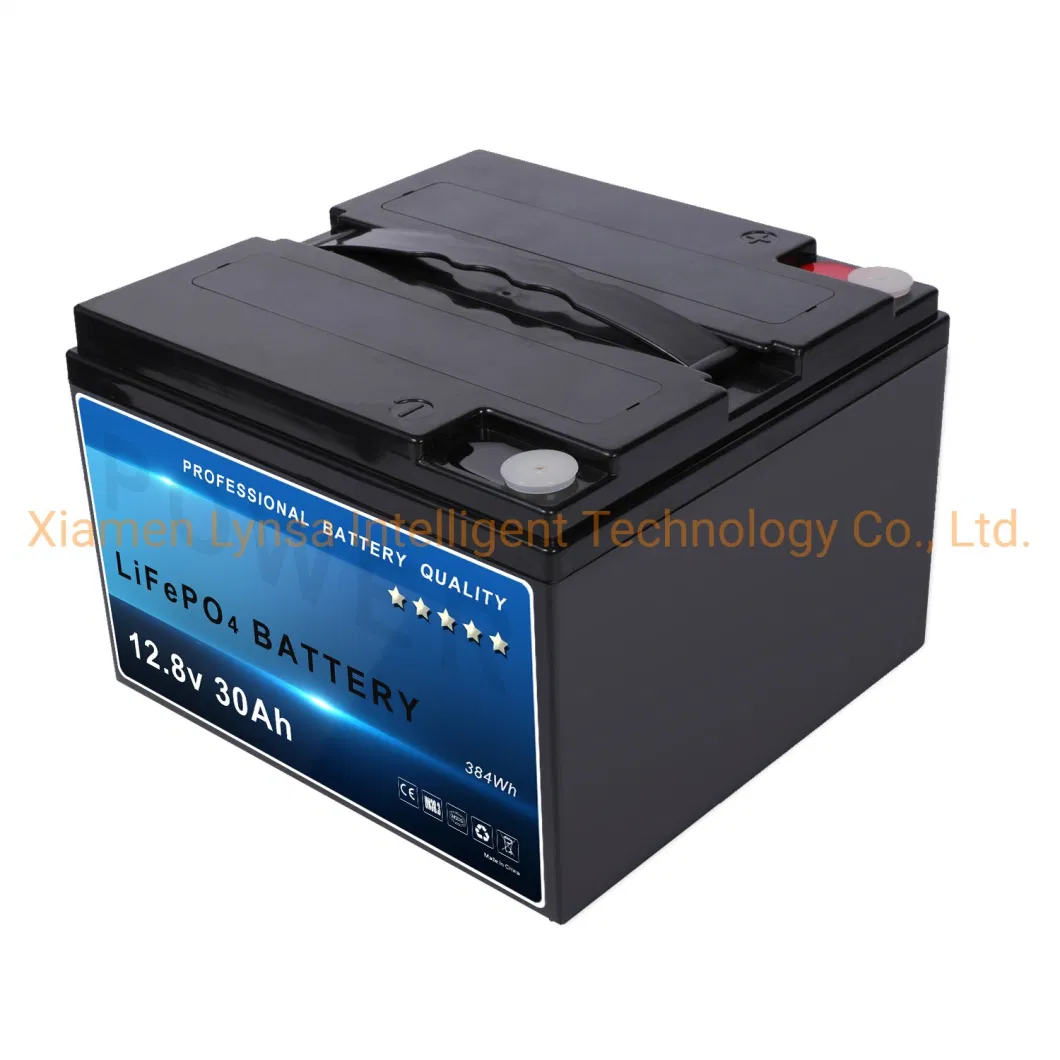 12V 30ah 12.8V Lead to Lithium Ion LFP LiFePO4 Battery Hot Seller for CCTV Camera