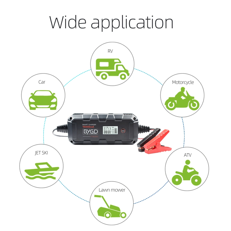 Factory Direct Pulse Input Model 6V 12V 6 AMP Battery Charger