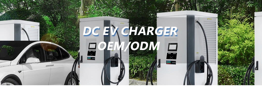 EV Car Charger 60kw 120kw 200kw DC EV Charger Ocpp 1.6 J CE OEM Electric Car Charging Station