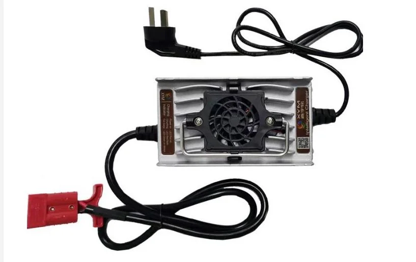 High Quality Weatherproof High Speed Au Rema Plug in Power Adapter 12V 24V 36V 48 Volt Battery Charger