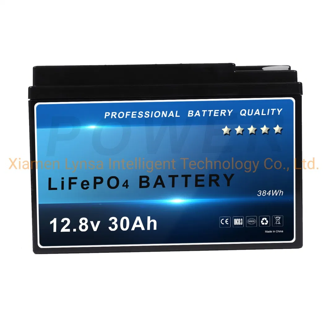 12V 30ah 12.8V Lead to Lithium Ion LFP LiFePO4 Battery Hot Seller for CCTV Camera