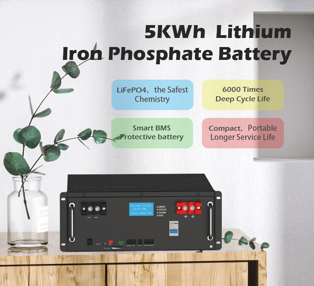Hot Selling Wholesale 48 Volt Lithium Ion Batteries 50ah 100ah 200ah LiFePO4 Battery 48V 100ah Batteries