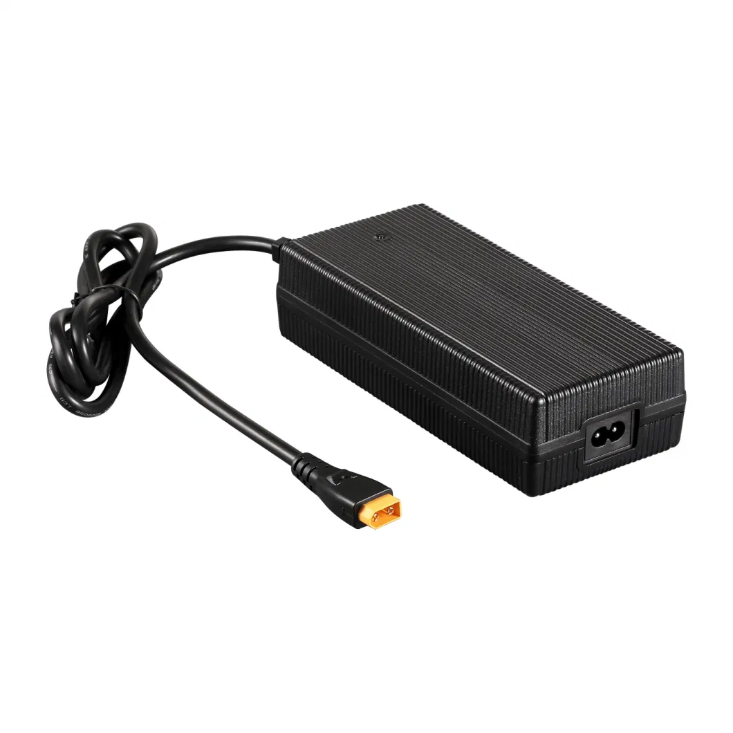 Li Ion Battery Charger 13V 17V 15A 14A for Ebike Drone