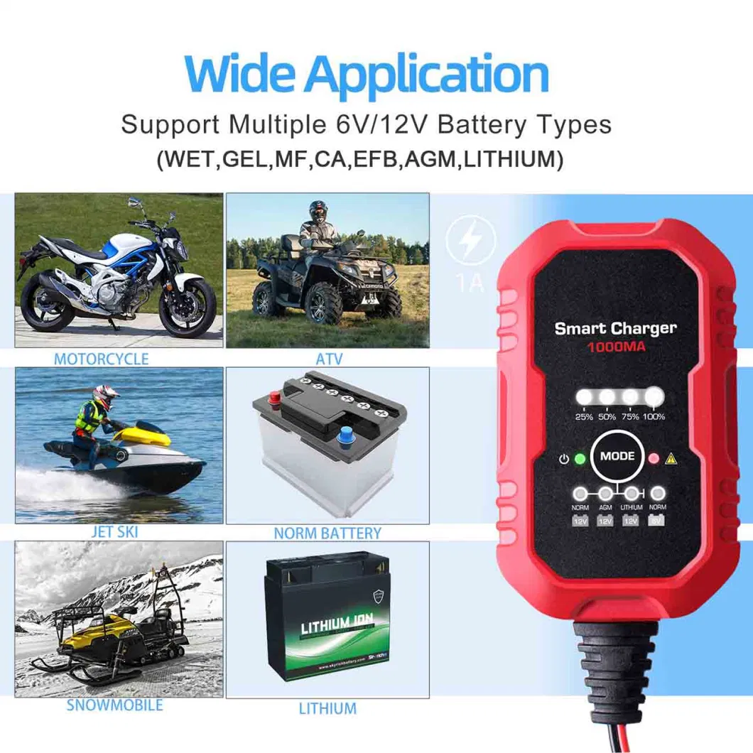 Car 12 Portable RC 12V 100ah 48 Volts Multi Mobility Scooter V Volt Auto Acid 24V LiFePO4 Adjustable Power EV Battery Charger