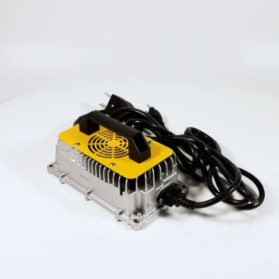 Carrello da golf a 4 posti con caricabatteria al litio da 48 V 100ah 105ah Parti