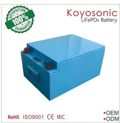  Batteria agli ioni di litio da 48 Volt 50ah 100ah 105ah 160ah LiFePO4 Batterie da 48 V 100ah per golf cart