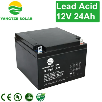 Yangtze 2019 miglior caricabatterie da 12 V per batteria Ebike da 12 V 24 ah
