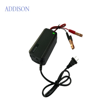 Presa di fabbrica Smart 36 V 48 V 60 V 15 a 20 a acido di piombo Caricabatteria