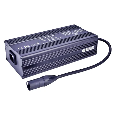 Caricabatterie da 360 W 16s 48 V 51,2 V 5 a 6 a LiFePO4 LiFePO 4 caricabatteria da esterno CC 57,6 V/58,4 V 5 a 6 a IP54 IP56 impermeabile Caricabatterie