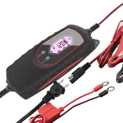 Caricabatterie intelligente per auto da 6 V 12 V/4 AMP