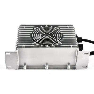 Caricabatterie agli ioni di litio da 12 V 20 a di grado a batterie LFP a ciclo profondo in ferro da 4 s caricabatteria per carrello Trax, motocicletta a bassa velocità
