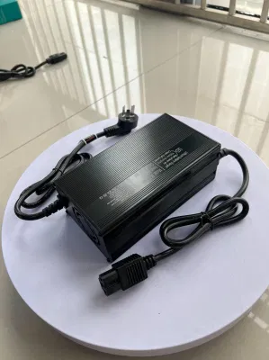 Auto elettrica Addison 12 V/24 V/36 V/48 V 2,5 a 5A Auto elettrica completamente intelligente automatica Caricabatterie portatile