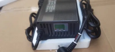 Auto elettrica Addison 12 V/24 V/36 V/48 V 2,5 a 5A Auto elettrica completamente intelligente automatica Caricabatterie portatile