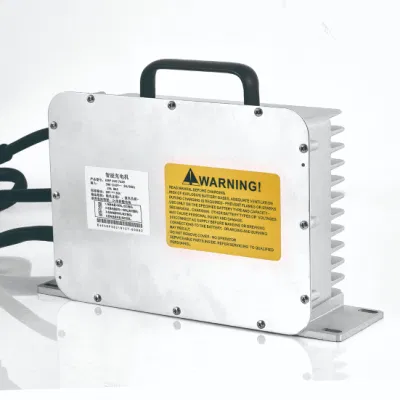  Caricabatterie LiFePO4 110 V/220 V 24 V/48 V/60 V/72 V CC per EV, impermeabile IP67 per golf cart/moto/triciclo