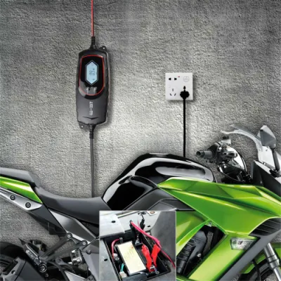 Caricabatterie intelligente per auto da 6 V 12 V/4 AMP