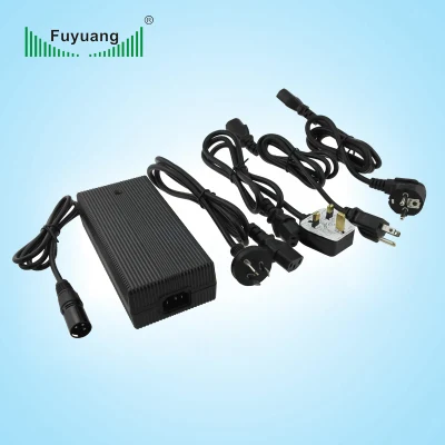  Uscita caricabatteria agli ioni di litio da 36 V di alta qualità 42 V 5 a per E-bike