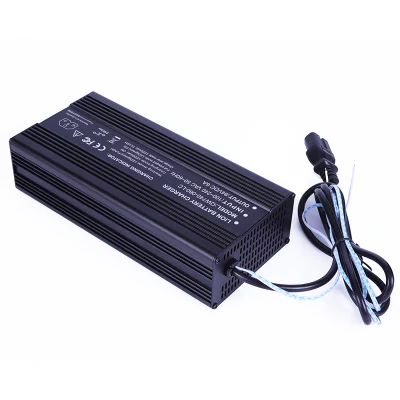  Caricabatterie CANbus da 600 W 18V/18.25 V 25A 30A LiFePO4 adattatori per batterie Per 5 s 15 V 16 V batteria auto elettriche