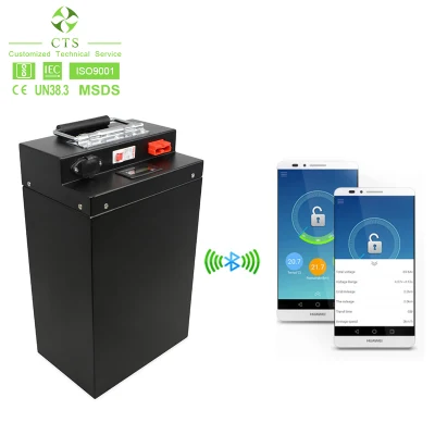 Scooter elettrico CTS e-Bike batteria agli ioni di litio 48 V 60 V. 72 V 96 V 20 ah 30 ah 40 ah 50 ah 60 ah 80 ah 100 ah LiFePO4 Batteria al litio