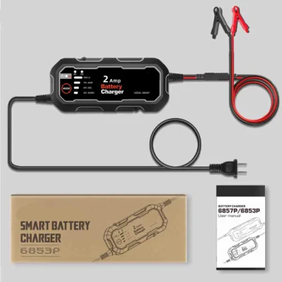 SCHEMA elettrico per bicicletta DA 3 A 21 V con litio da 42 V E. 110 V li Ion 7,2 V 510 Filettatura AA ricaricabile 58,8 V 48 V. Caricabatteria DA 30 A.
