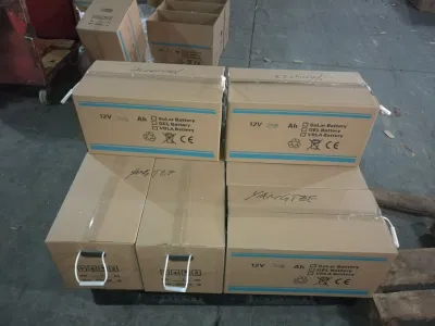 Yangtze 2019 miglior caricabatterie da 12 V per batteria Ebike da 12 V 24 ah