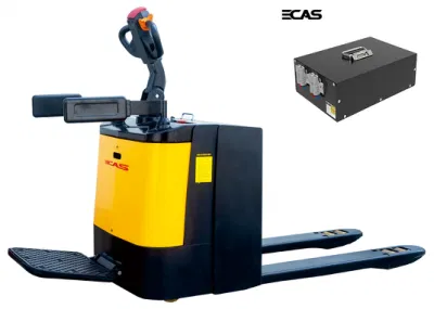  Carrello elevatore a forche per caricabatteria EV batteria al litio LiFePO4 ecologica con batteria BMS Sistema di gestione (24 V 100A)