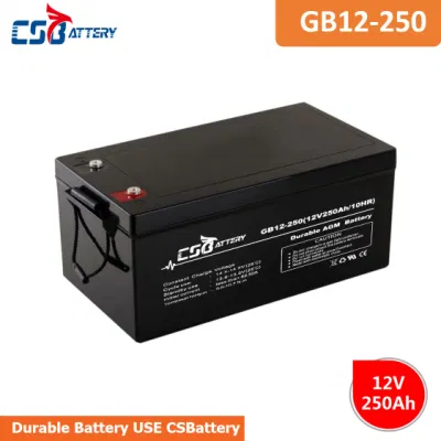 Batteria AGM al piombo-acido Csbattery 12V 200ah/250ah/300ah per auto/moto/EPS/imbarcazione/Power-Tool/Pack/CSE