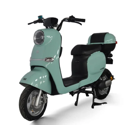  Motore batteria per conversione ioni di litio 48 Volt LiFePO4 Wheel Hub due persone parti di bloccaggio Sidecar bicicletta elettrica urbana Gear