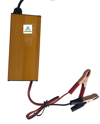  Vendita diretta in fabbrica Ebike Electric Bike caricatore CC caricabatteria portatile Carica CC CV automatica per batteria al litio
