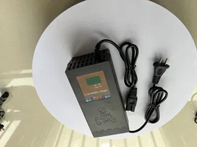 Presa di fabbrica Smart 36 V 48 V 60 V 15 a 20 a acido di piombo Caricabatteria