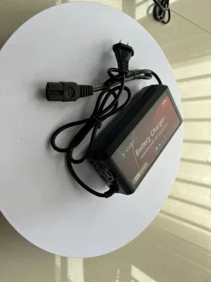 Presa di fabbrica Smart 36 V 48 V 60 V 15 a 20 a acido di piombo Caricabatteria